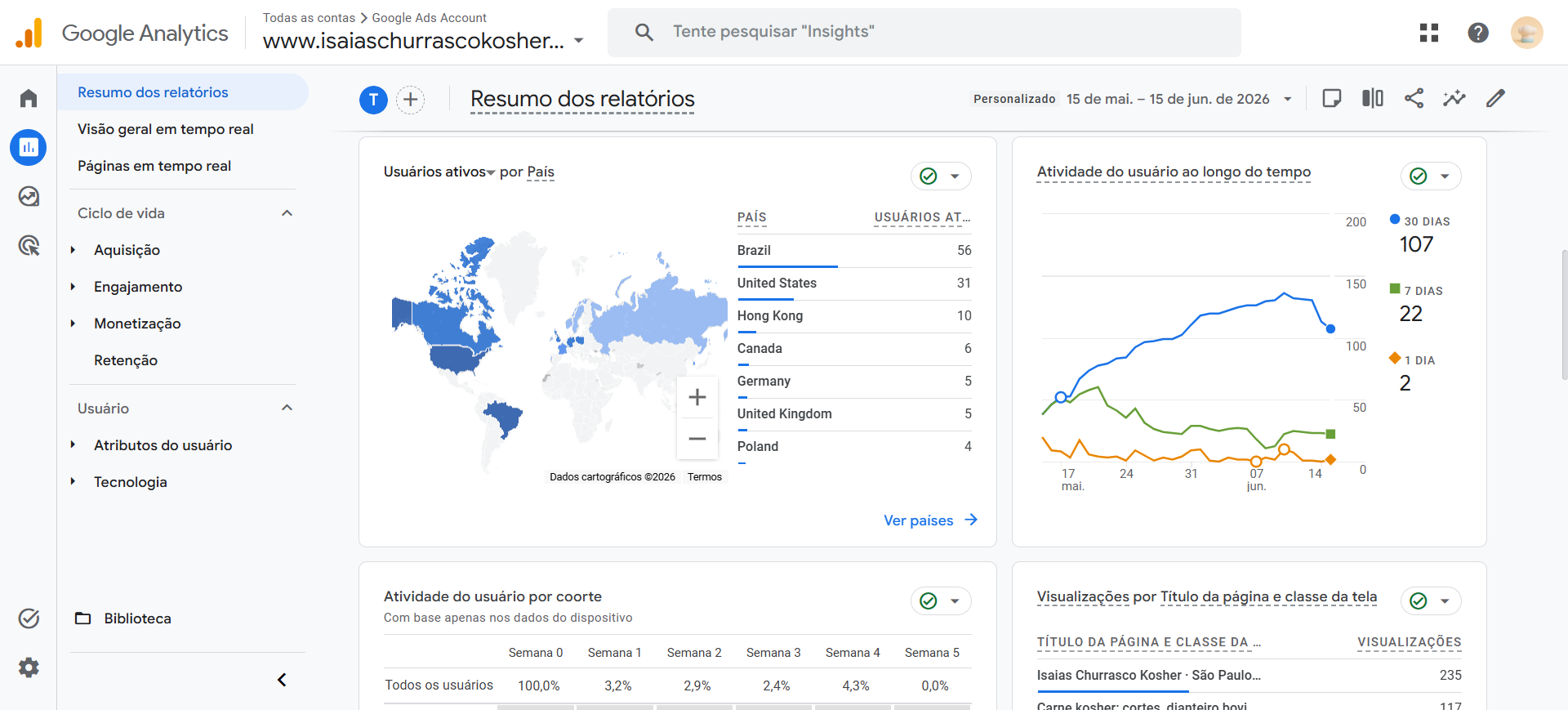 GA reports overview